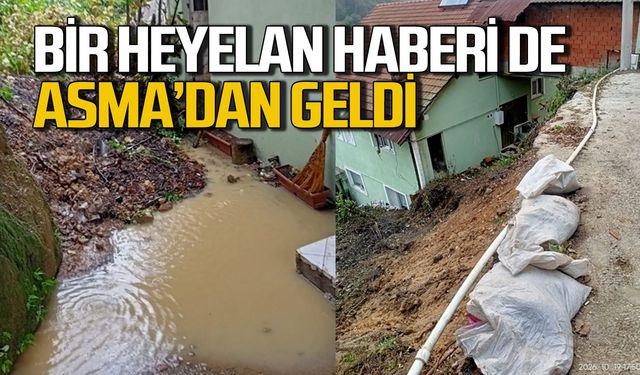 Zonguldak’ta bir heyelan haberi de Asma’dan geldi