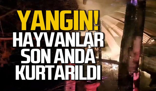 Karabük'te yangın... Hayvanlar son anda kurtarıldı