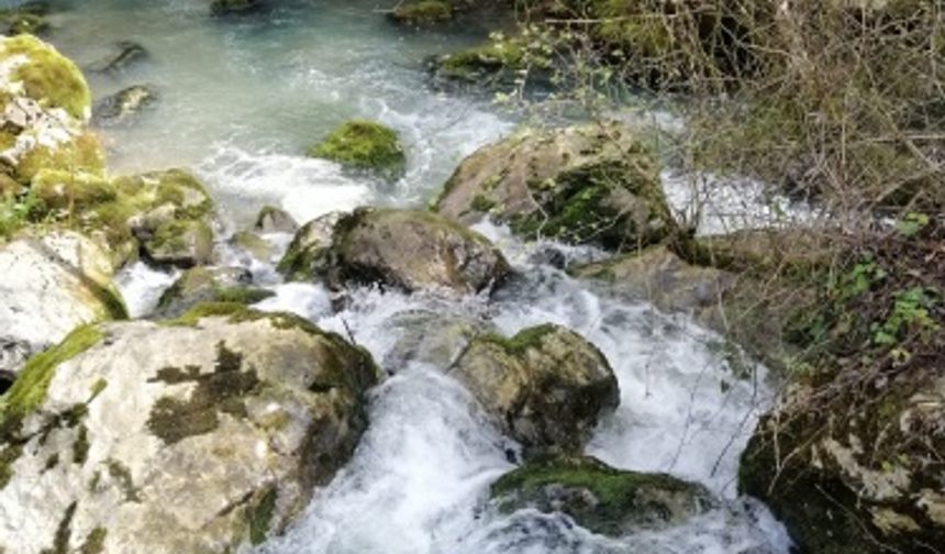 Harika bir yer ama talan ediyoruz! İşte Z HABER’in önerileri