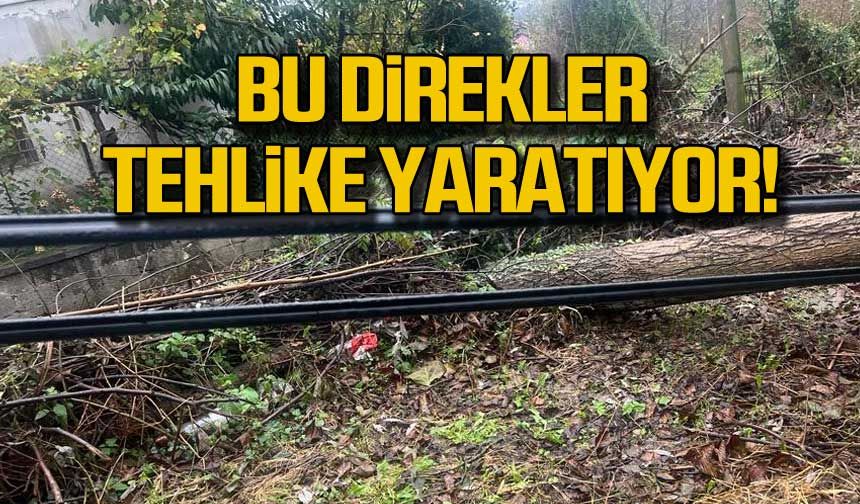 Alaplı'da telefon direkleri tehlike yaratıyor!