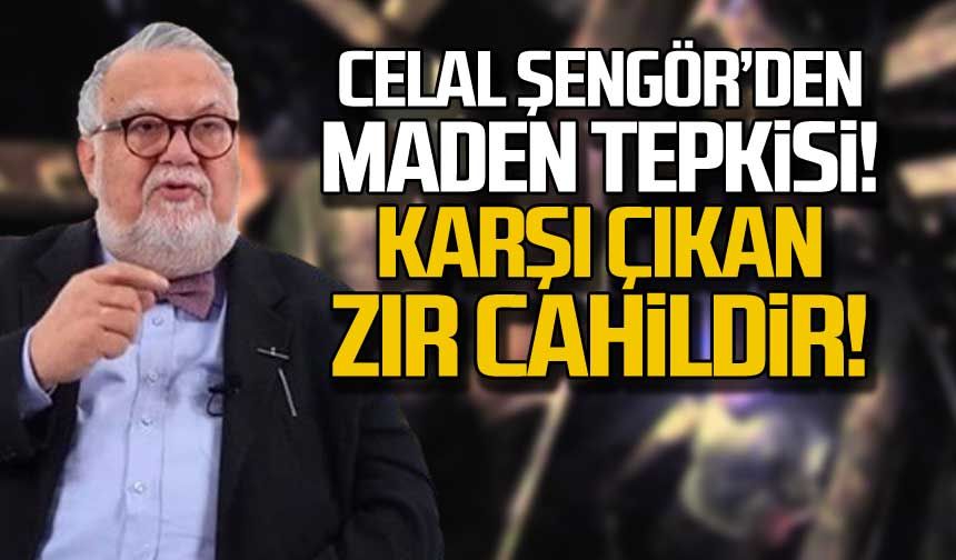 Celal Şengör'den maden tepkisi "Zır cahildir"