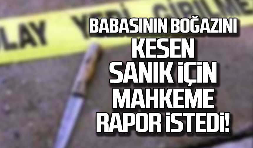 Babasını öldürüp, annesini yaralayan sanık için mahkeme, cezai ehliyet raporu istedi