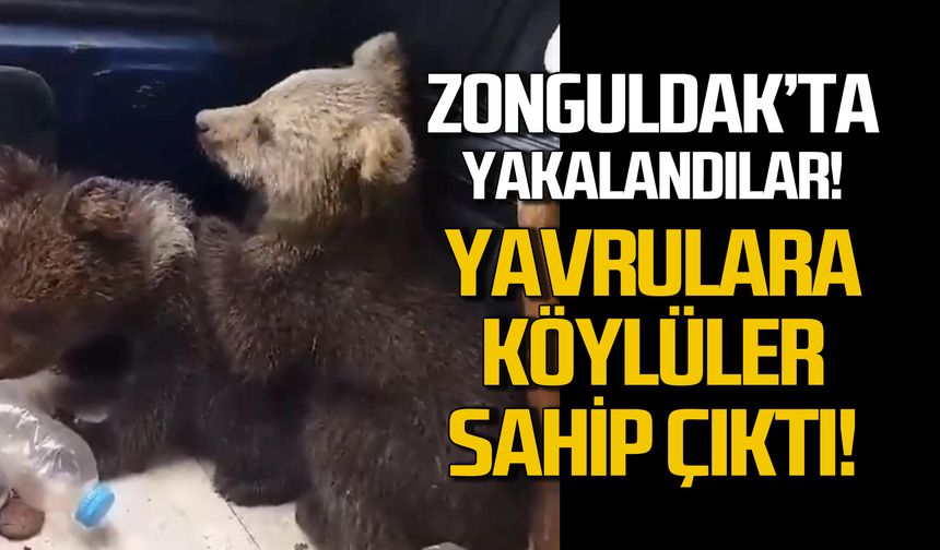 Ayı yavrularına Zonguldaklı köylüler sahip çıktı!