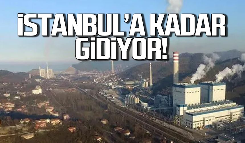 "Santraller sadece Zonguldak'ı değil o şehirleri de etkiliyor"