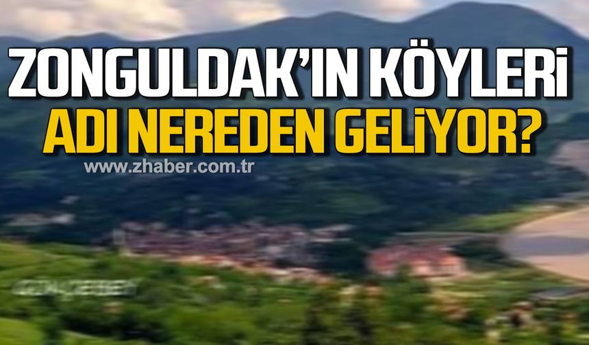 Zonguldak'ın köyleri! Bodaç Köyü'nün adı nereden geliyor?