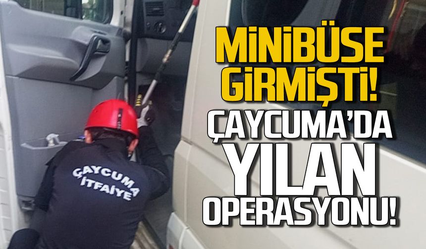 Çaycuma'da yılan çıkartma operasyonu!