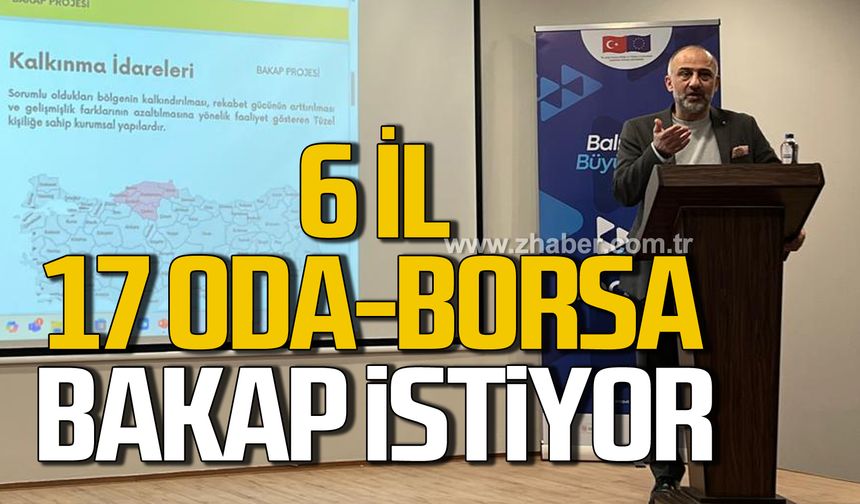 6 İl, 17 Oda-Borsa BAKAP istiyor