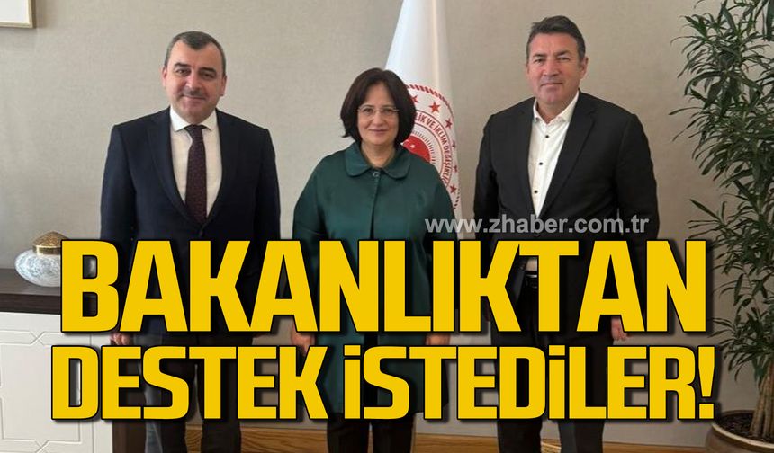 Çolakoğlu ve Ulupınar Bakanlıktan destek istedi