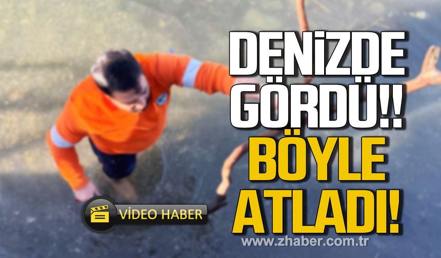 Emrah Demir denizde gördü! Böyle atladı!