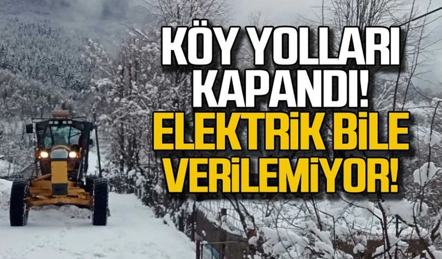 Zonguldak'ta köy yolları kapandı! Elektrik bile verilemiyor!