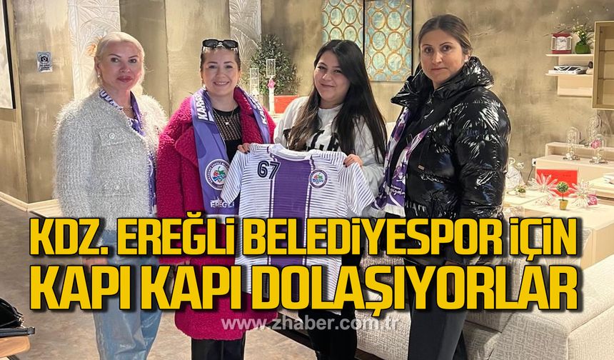 Gönüllü kadınlar, Kdz. Ereğli Belediyespor için kapı kapı dolaşıyor