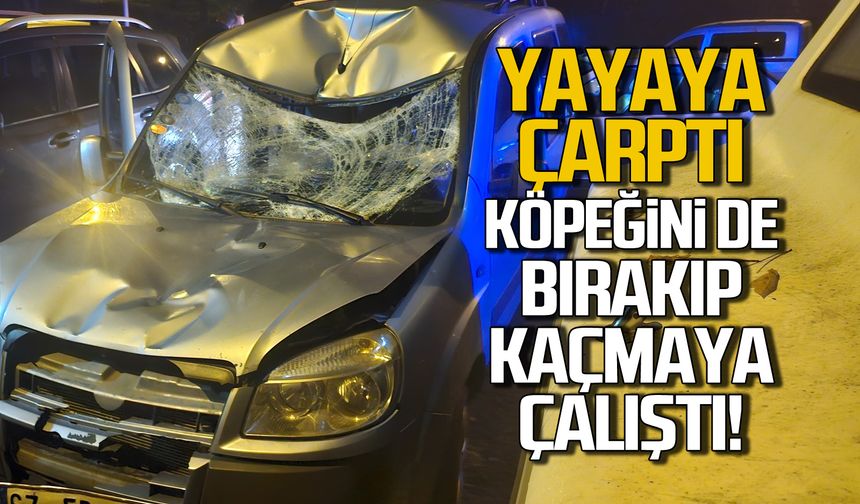 Ereğli'de kaza! Yayaya çarptı! Köpeğini de bırakıp kaçtı!