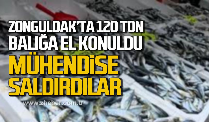 Zonguldak'ta 120 ton balığa el konuldu! Mühendise saldırdılar!