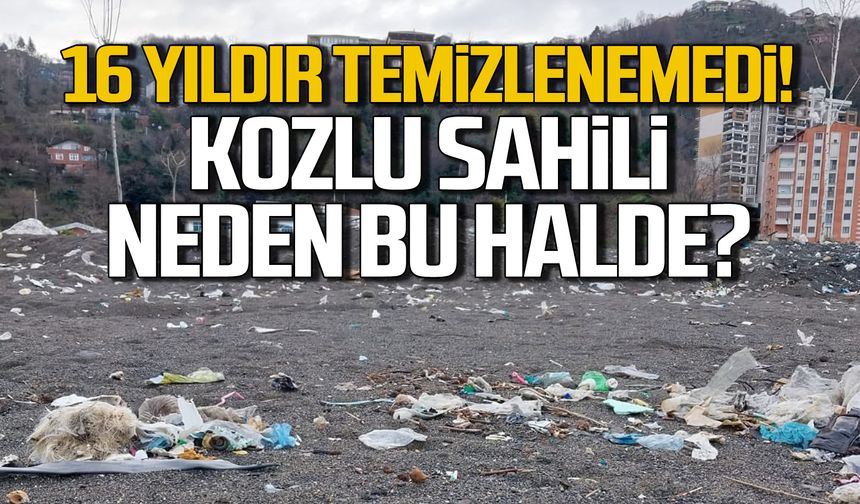 Zonguldak'ın en güzel noktalarından biri. 16 yıldır neden temizlenemedi?