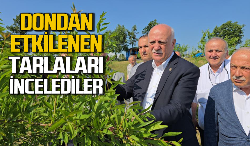 Şemsi Bayraktar, Karabük’te zirai dondan etkilenen tarlaları inceledi