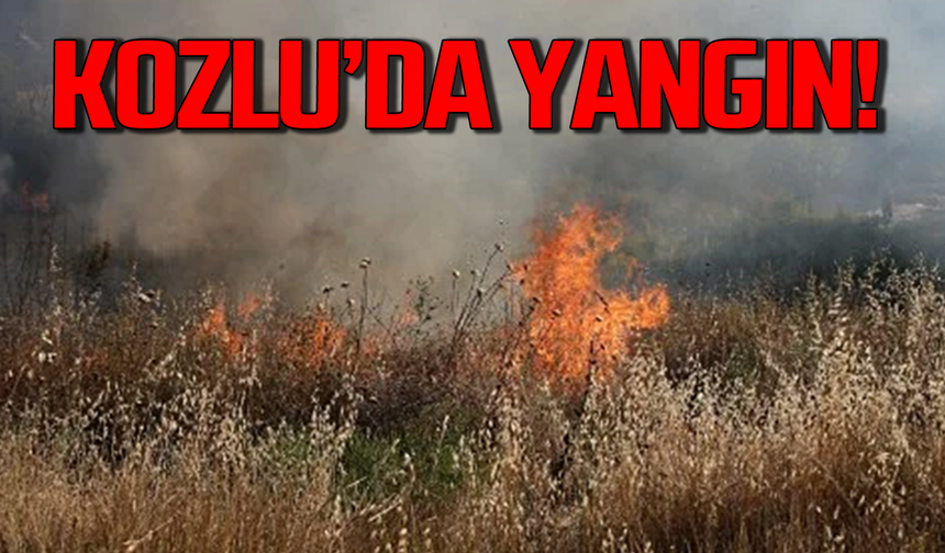Kozlu’da yangın: Alevler panik yaşattı!