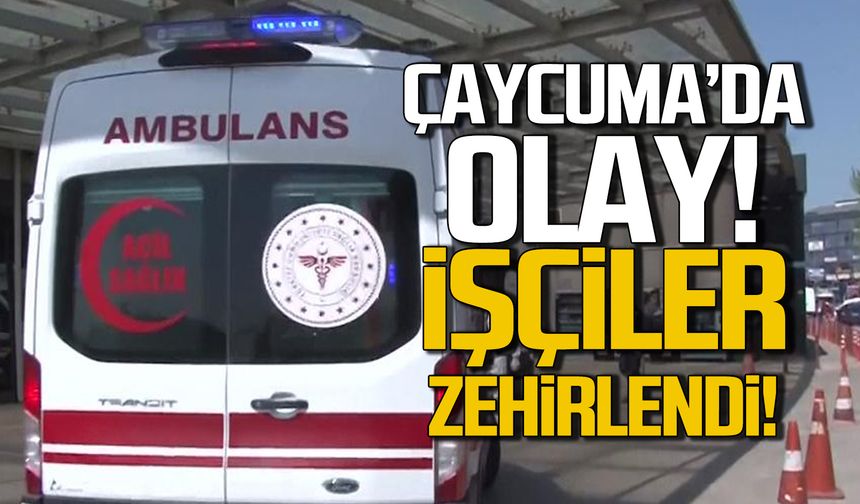 Çaycuma'da olay! Çok sayıda işçi zehirlendi!