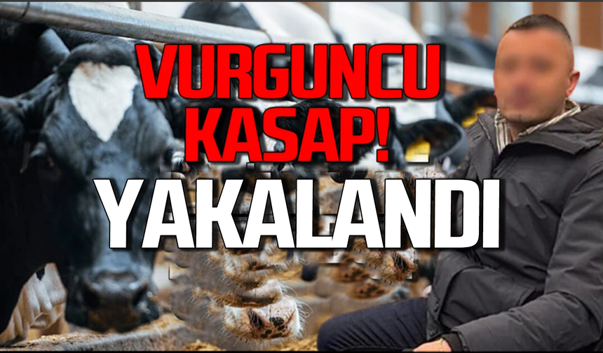 Çaycumalı vurguncu kasap Çanakkale’de yakalandı!