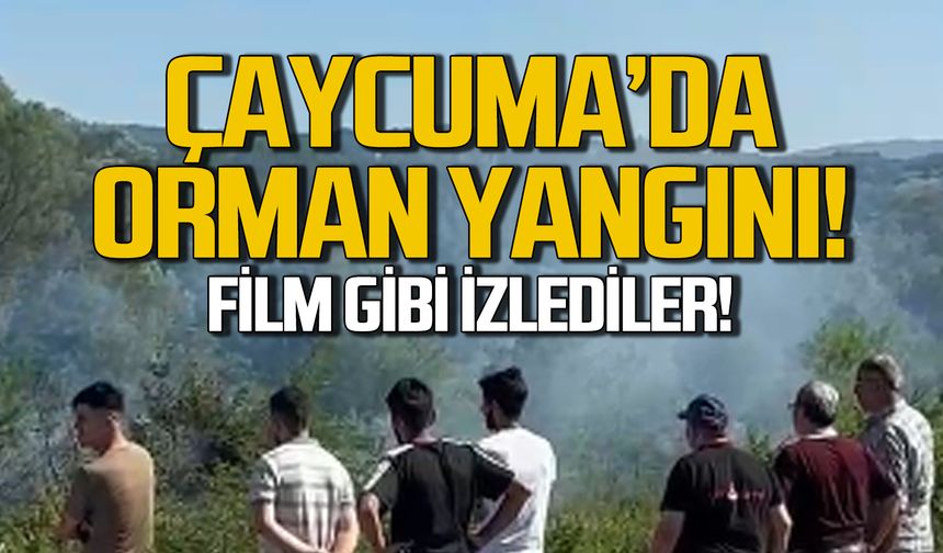 Çaycuma'da orman yangını! Film gibi izlediler!