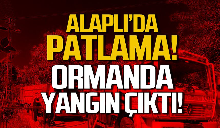 Alaplı'da patlama! Ormanda yangın çıktı!