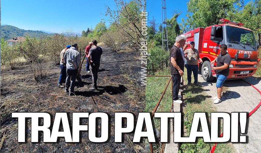 Alaplı’da trafo patladı orman yangını çıktı!