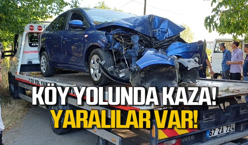 Zonguldak'ta direksiyon hakimiyetini kaybeden otomobil ağaca çarptı!