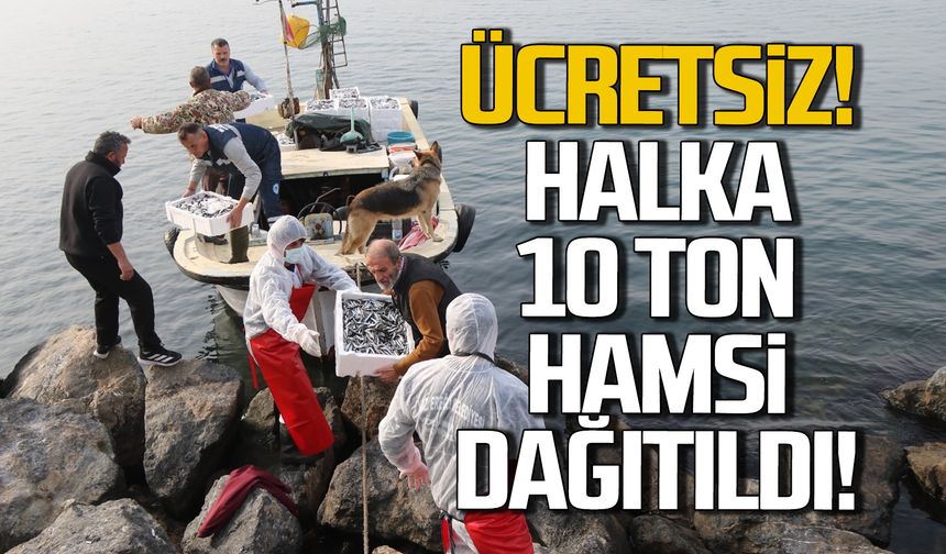 Ücretsiz 10 ton hamsi dağıtıldı!