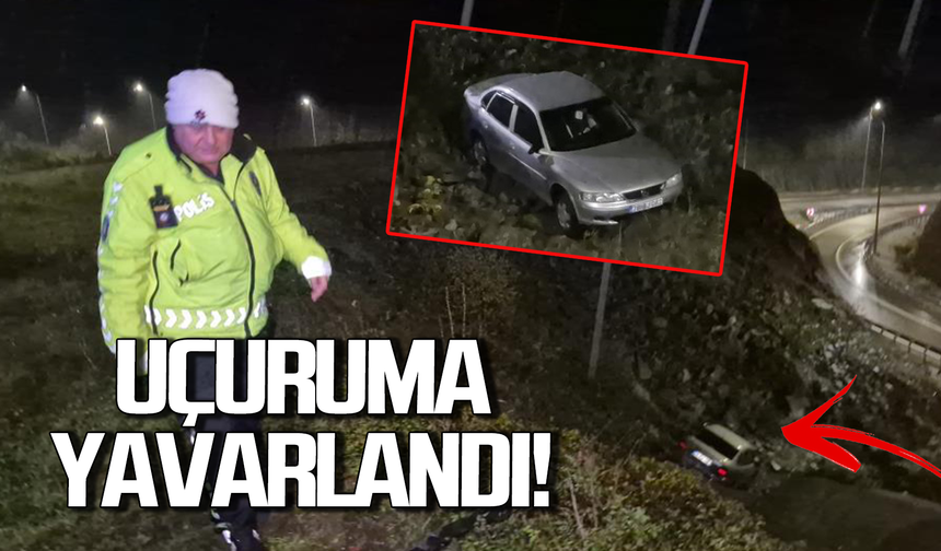 Otomobil kontrolden çıktı viyadükten uçtu!