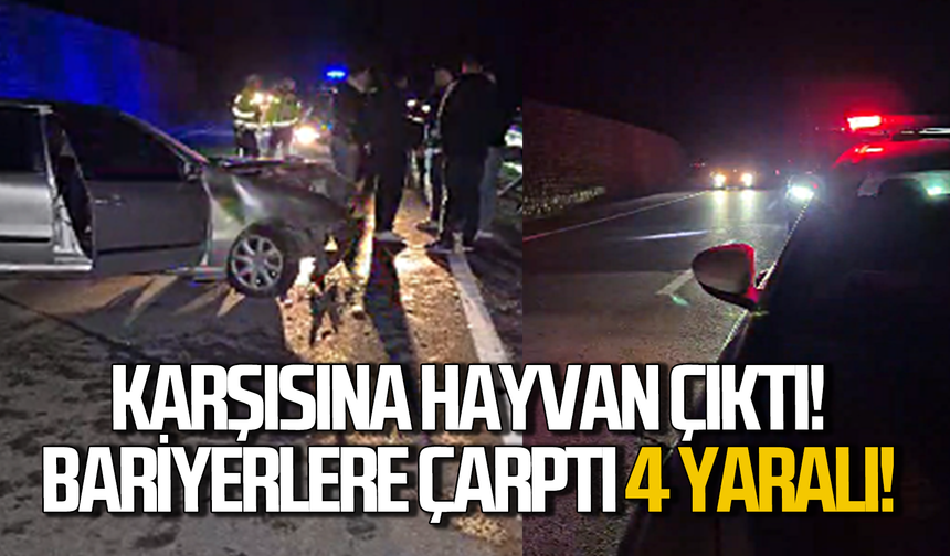 Hayvana çarpmamak için manevra yaptı bariyerlere çarptı!