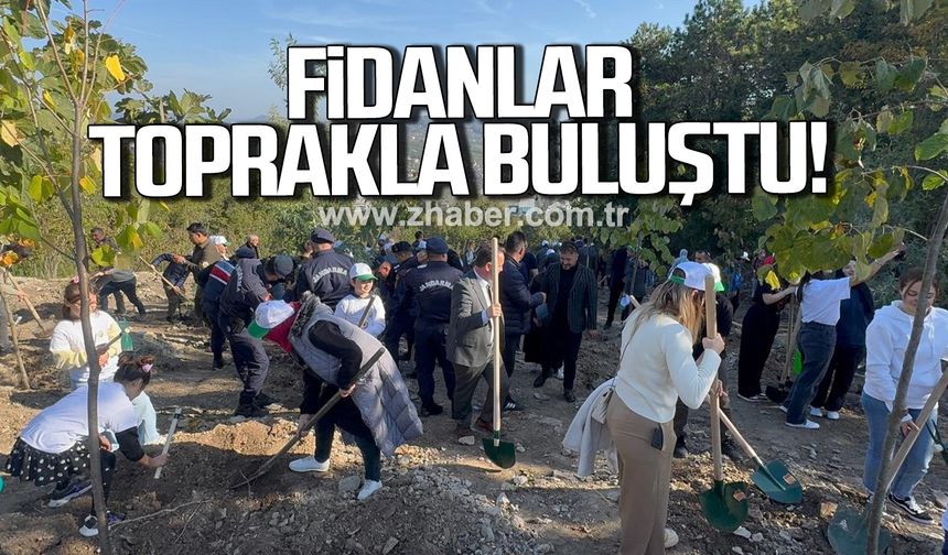 Alaplı'da fidanlar toprakla buluştu