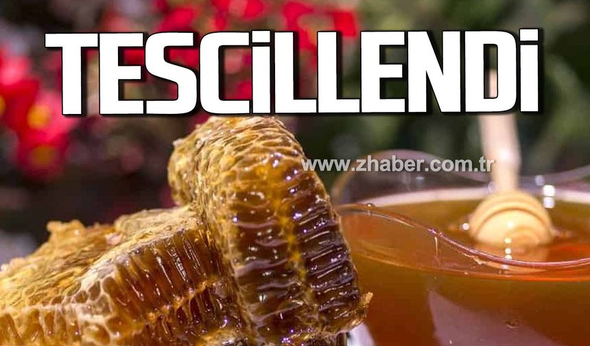 Devrek'te kestane balı tescillendi!