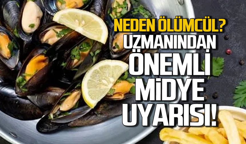 Midye neden ölümcül? Uzmanından önemli uyarı!