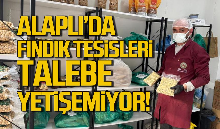 Alaplı'da fındık tesisleri talebe yetişemiyor!