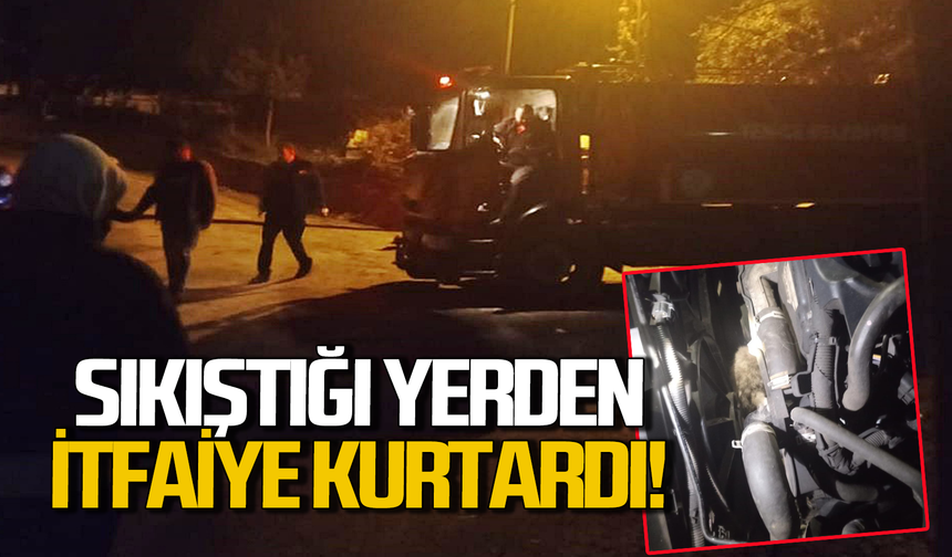 Sıkıştığı yerden itfaiye kurtardı!