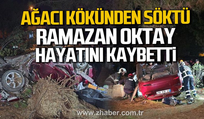 Karabük'te feci kaza! Ramazan Oktay hayatını kaybetti!