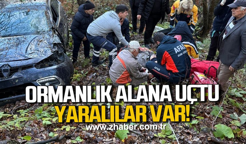Zonguldak'ta otomobil ormanlık alana uçtu, 2 yaralı