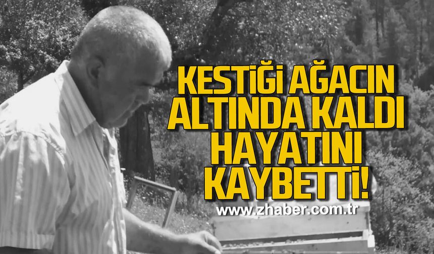 Bartın'da kestiği ağacın altında kaldı hayatını kaybetti