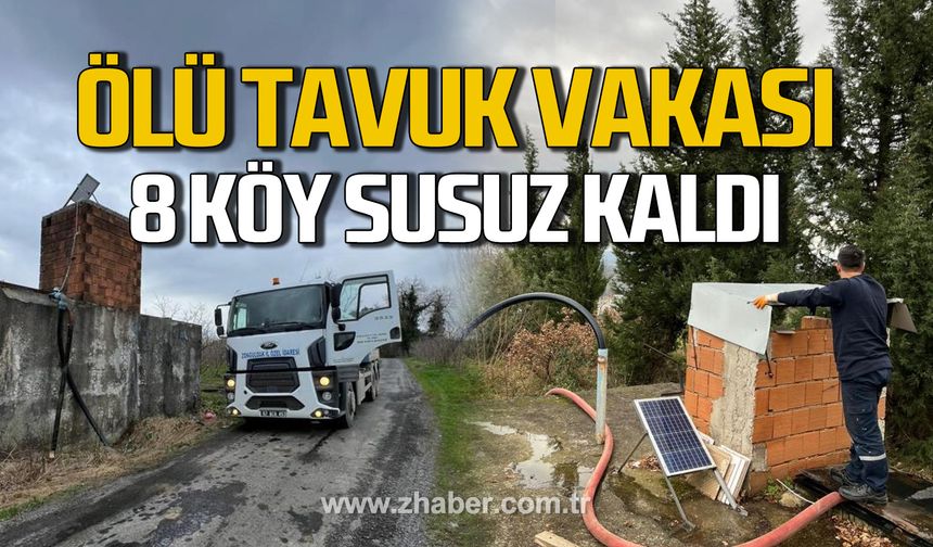 Alaplı'da ölü tavuk vakası. 8 köy susuz kaldı.