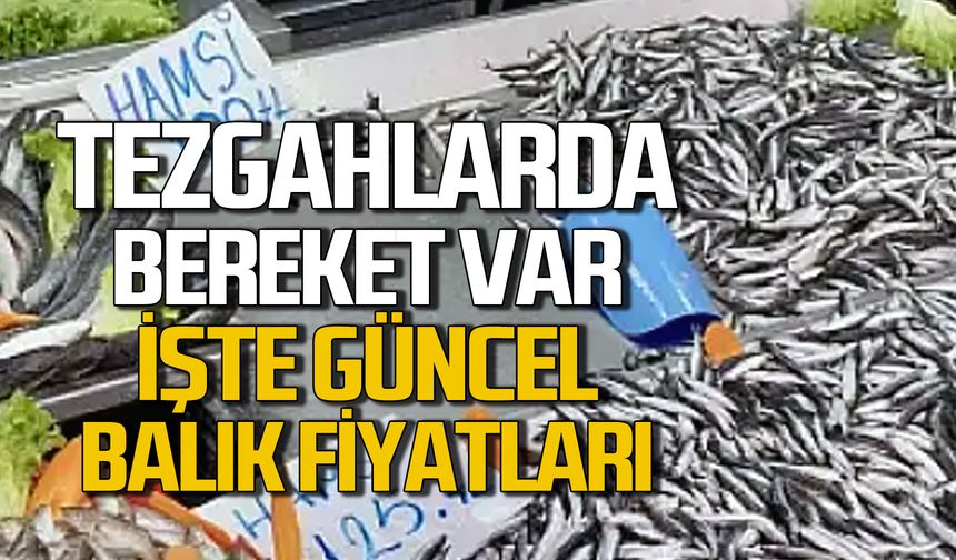 Tezgahlarda bereket var. Zonguldak güncel balık fiyatları