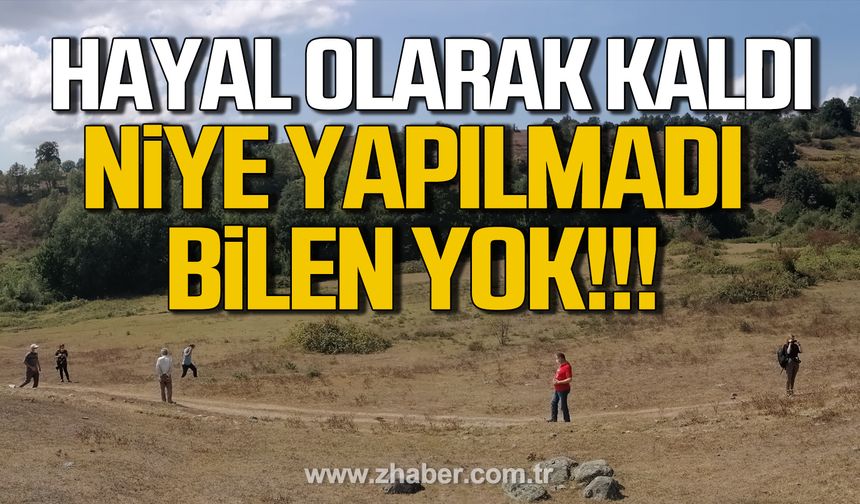 Kdz. Ereğli'de Orta Ölçekli Sanayi Sitesi projesi hayal olarak kaldı.