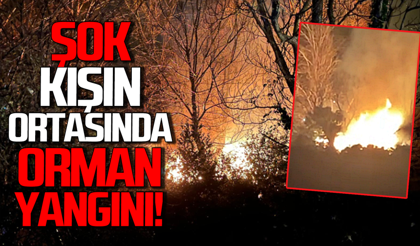 Filyos’ta kışın ortasında orman yangını!