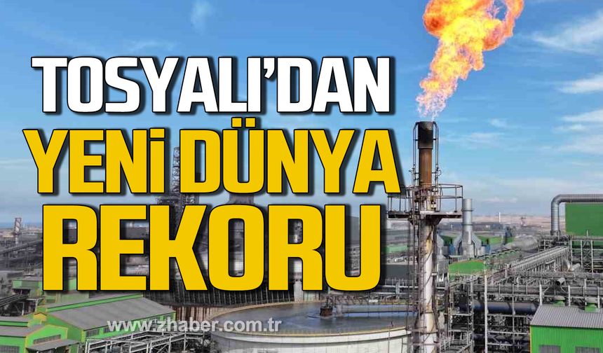 Tosyalı, Cezayir’de gerçekleştirdiği 2,43 milyon tonluk çelik üretimiyle rekor kırdığını açıkladı