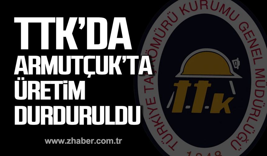 TTK Armutçuk Müesesesi'nde üretim durduruldu.