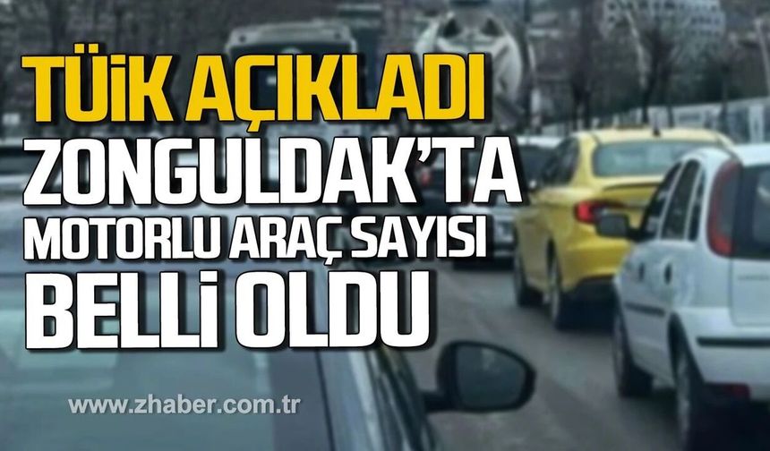 Zonguldak’ta trafiğe kayıtlı kaç araç var? TÜİK açıkladı