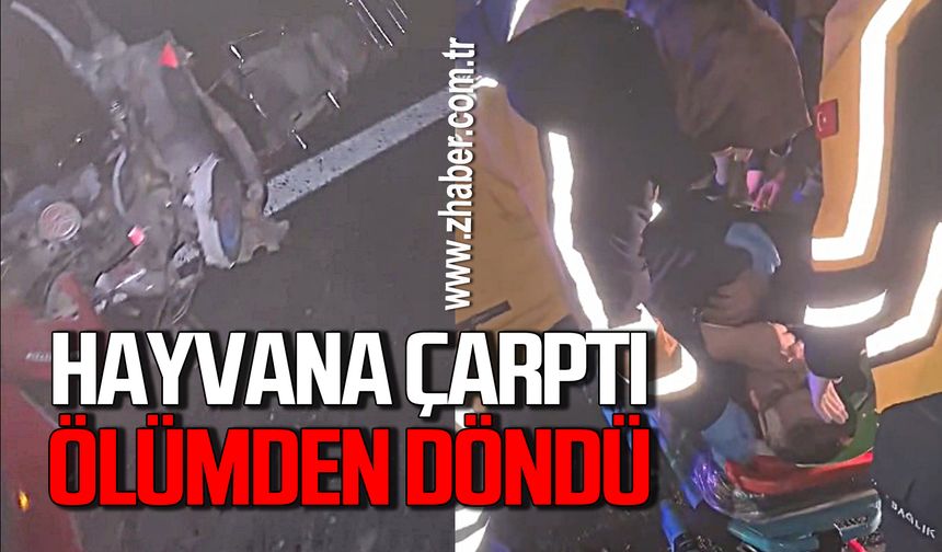 Motosiklet sürücüsü hayvana çarptı sürücü ölümden döndü