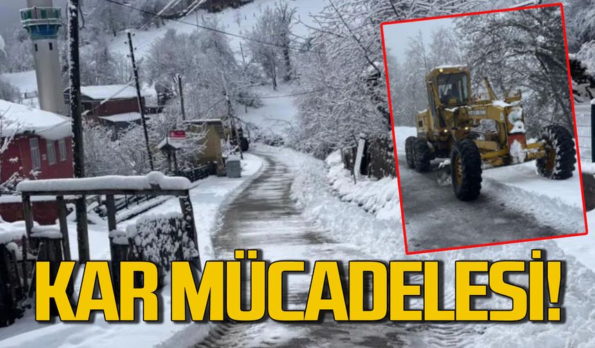 Karla mücadele çalışmaları devam ediyor