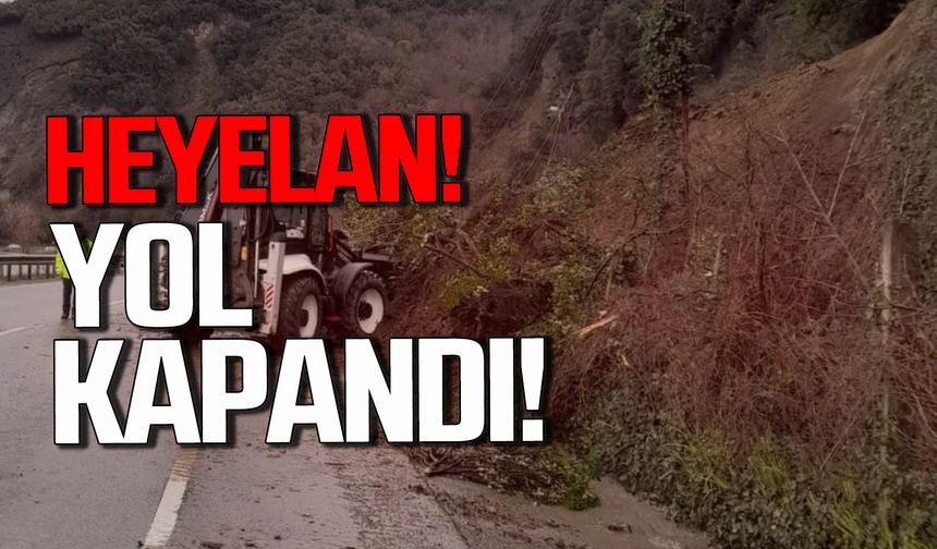 Kdz. Ereğli – Alaplı yolunda heyelan