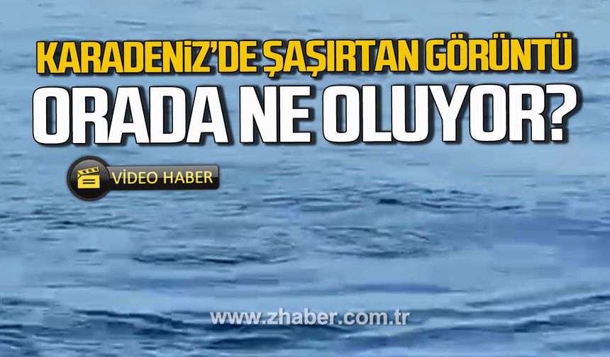 Karadeniz'de şaşırtan görüntü. Orada ne oluyor?