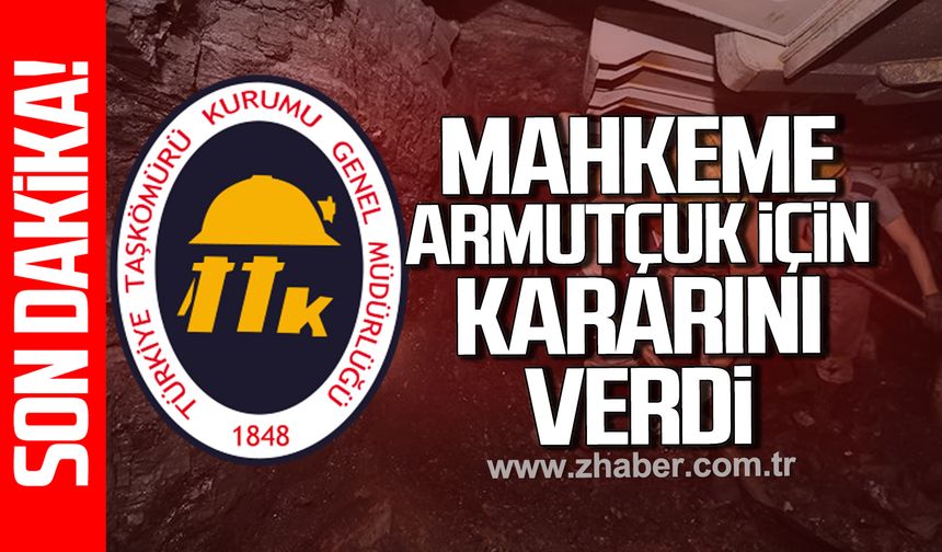 TTK Armutçuk davasında sürpriz gelişme: Yeni rapor bekleniyor