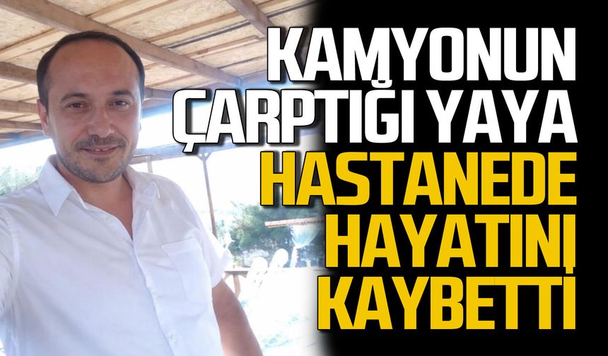 Kamyonun çarptığı yaya hayatını kaybetti
